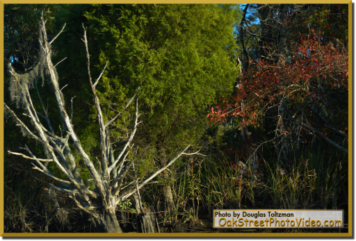 fall2007_512x347